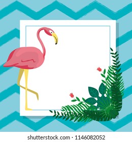 Flamenco exotic bird