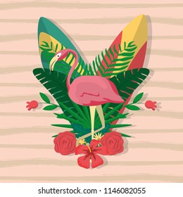 Flamenco exotic bird