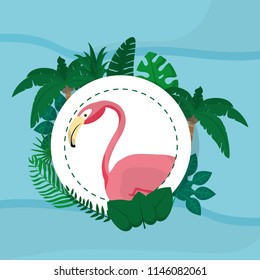 Flamenco exotic bird