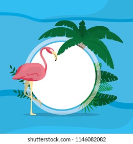 Flamenco exotic bird