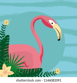 Flamenco exotic bird - Shutterstock ID 1146082091