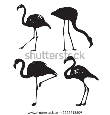 flamengo bird silhouette set vector design