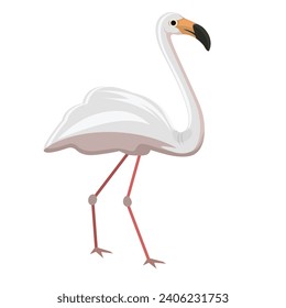 Flaming bird, natural park animal