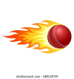 Flaming cricket ball