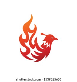 Flaming phoenix bird logo modern template