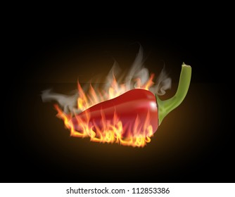 flaming red chili vector illustration