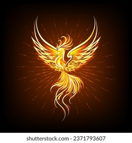 Flaming Shining Phoenix Bird isolated on black background.  Rebird Concept Emblem vector illustration.