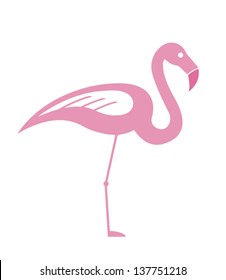 flamingo