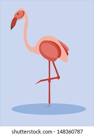 Flamingo 