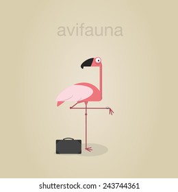 flamingo