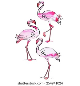 flamingo