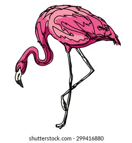 flamingo