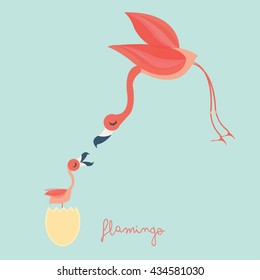 flamingo