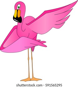Flamingo