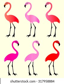 Flamingo. 6 Color Variations.