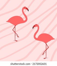 Flamingo abstract on pink background