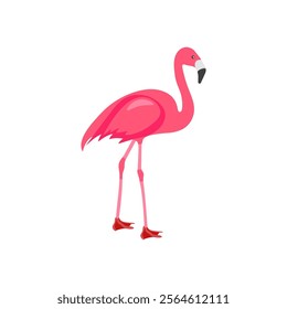 Flamingo, African Symbols Vector Illustration