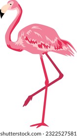 flamingo animal summer tropical leaf, summer elements vector, southeast asia nature