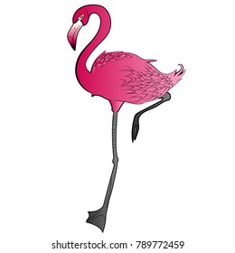 Flamingo art animals