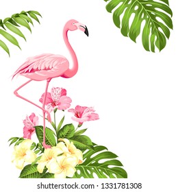 Flamingo background design. Tropical flowers illustration. Fashion summer print for wrapping, fabric, invitation card and your template design. Vector illustration.