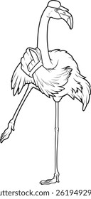 Flamingo Baseball Baseball glove Animal Vector Graphic Art Illustration