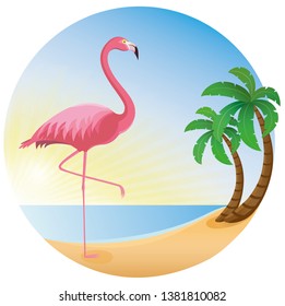 flamingo, beach, sun, sea, circle, palm  tree