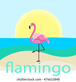 Flamingo Beach vector illustration.  Exotic bird. Decorative cute flamingo, one foot