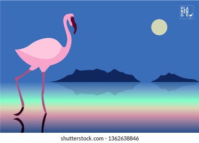 Flamingo beautiful pink bird finding food for life 