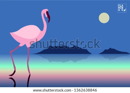 Flamingo beautiful pink bird finding food for life 