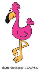 flamingo bird