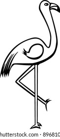 flamingo bird