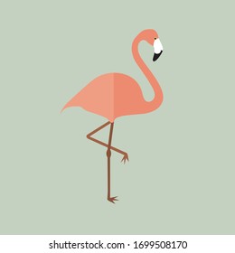 vector animal de ave flamingo sobre animales salvajes de fondo verde