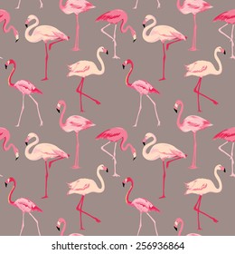 Flamingo Bird Background - Retro seamless pattern in vector