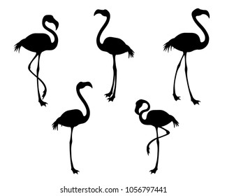 Flamingo bird black silhouettes