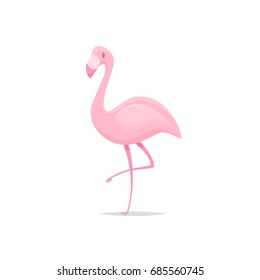 Flamingo bird cartoon vector