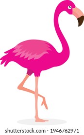 Flamingo Bird  clipart vector illustration isolated on white background