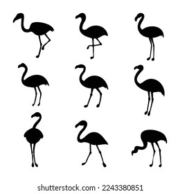 flamingo bird collection silhouettes vector illustration isolated white background