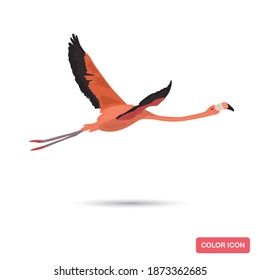 Flamingo bird color flat icon