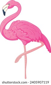 Flamingo bird cute illustration vector