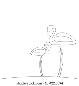 Flamingo bird drawing on white background, vector illustration
