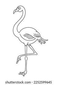 Flamingo bird. Editable outline stroke. Vector line illustration.