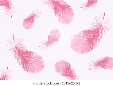 flamingo bird flying feather