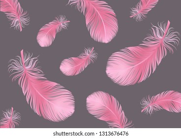 flamingo bird flying feather