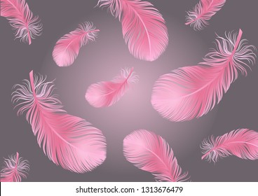 Flamingo Bird Flying Feather