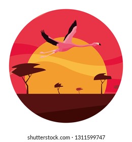 flamingo bird flying in the landscape
