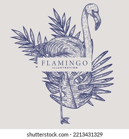 Flamingo Bird Hand Drawn Illustration