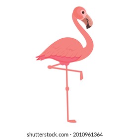 Flamingo bird icon cartoon vector. Cute pink bird. Summer flamingo