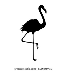 flamingo bird icon image 