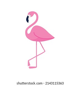 icono de ave flamingo aislado plano
