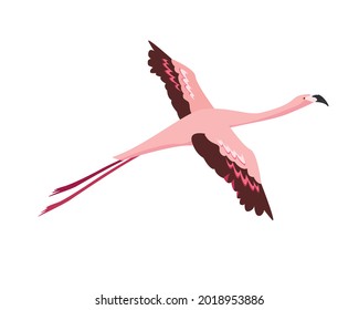 Flamingo bird icon. Pink Flamingo flying on the sky. Flat or cartoon vector illustration on blue background.